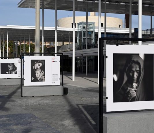 Retratos. Colecciones Fundación MAPFRE