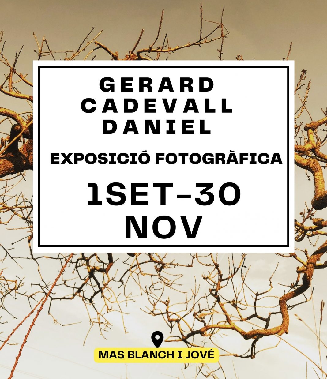 Exposición fotografías 1,2,3… de Gerard Cadevall Daniel en ‘La Vinya dels artistes’https://www.exibart.es/repository/media/formidable/11/img/a1d/Exposicio-de-fotos-GERARD-CADEVALL-DANIEL-1068x1238.jpeg